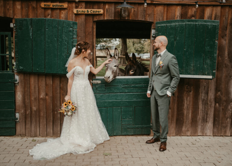 Esel in Pulheim, Q-Stall Hochzeitspaar Brautpaar